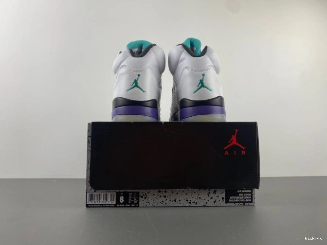 Cheap 136027-108 5 Jordan (2013) Grape Retro Air 0825